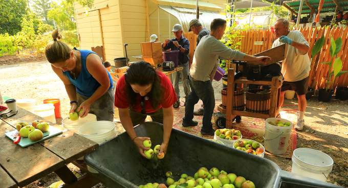 Apple waste eliminated with Slow Food Russian River’s press