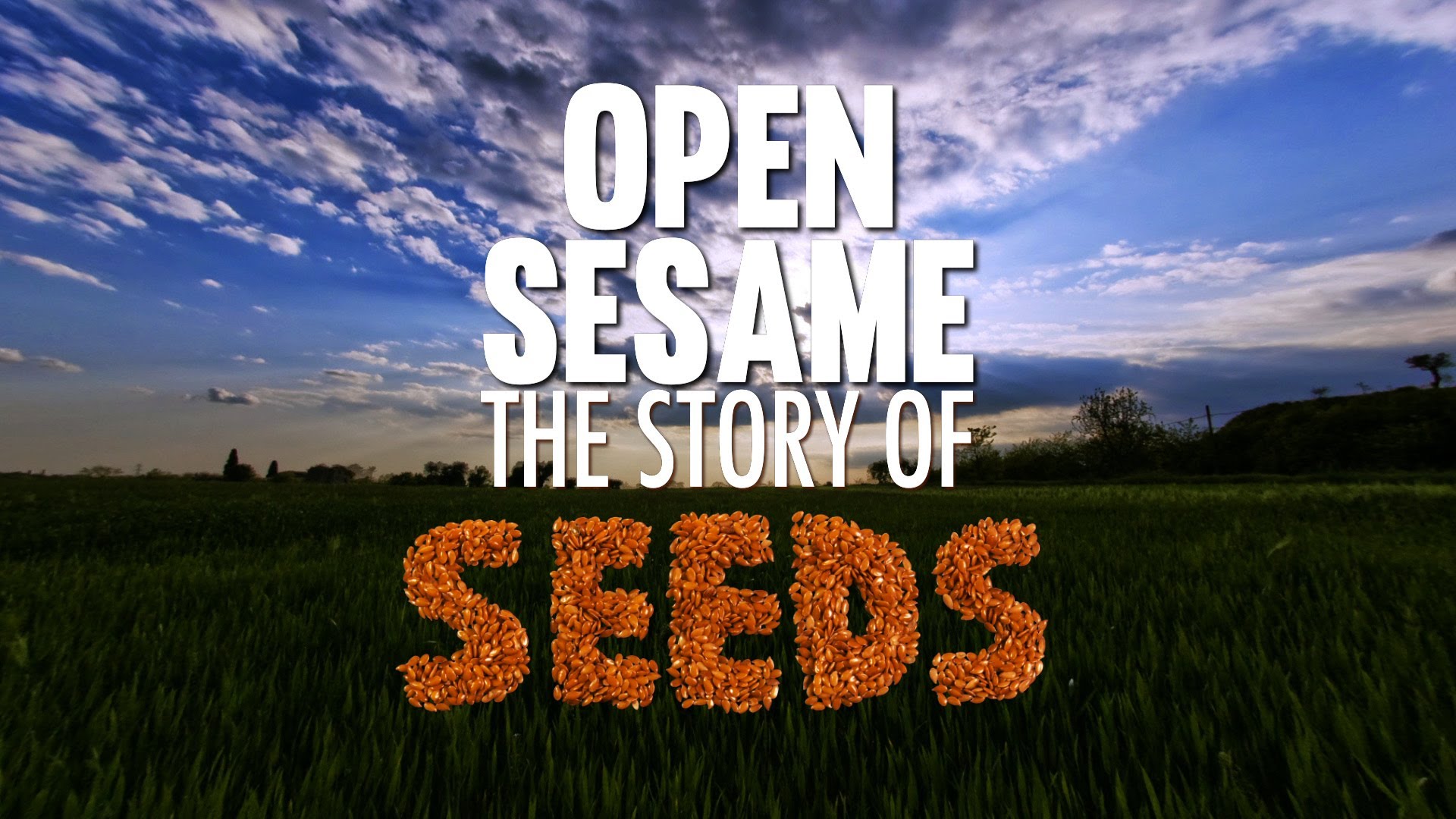 Open Sesame – The Story of Seeds